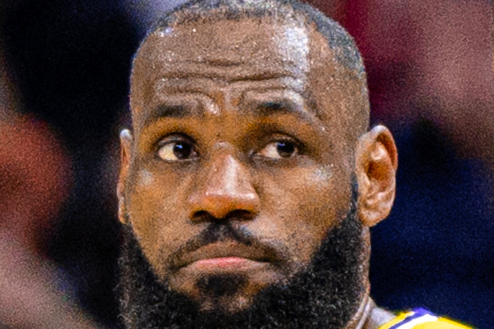 Close-up of LeBron James in a Los Angeles Lakers jersey