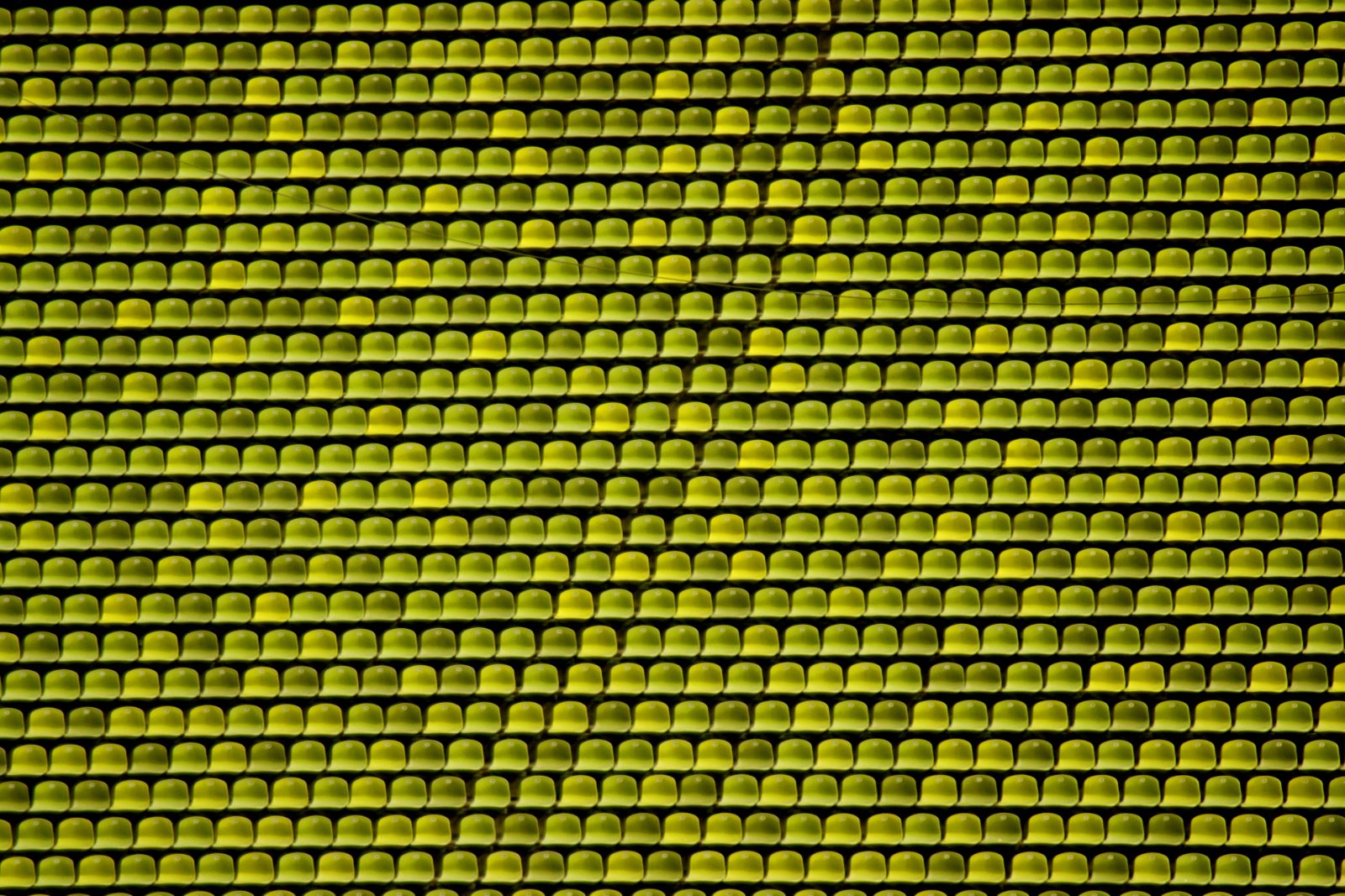 Rows of empty yellow seats in a deserted stadium stand